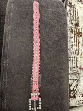 Crystal-Embellished Pink Dog Collar with Buckle 14”